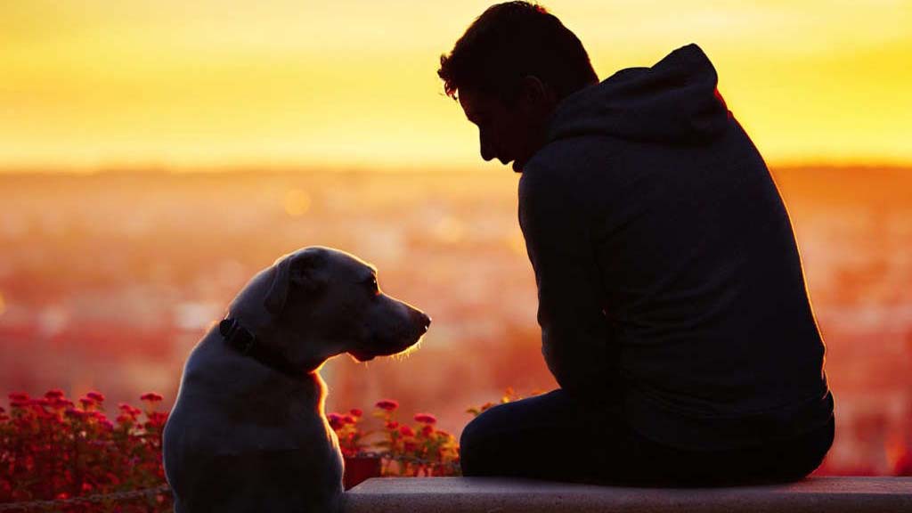 How to Effectively Promote  Loyalty without Discounting